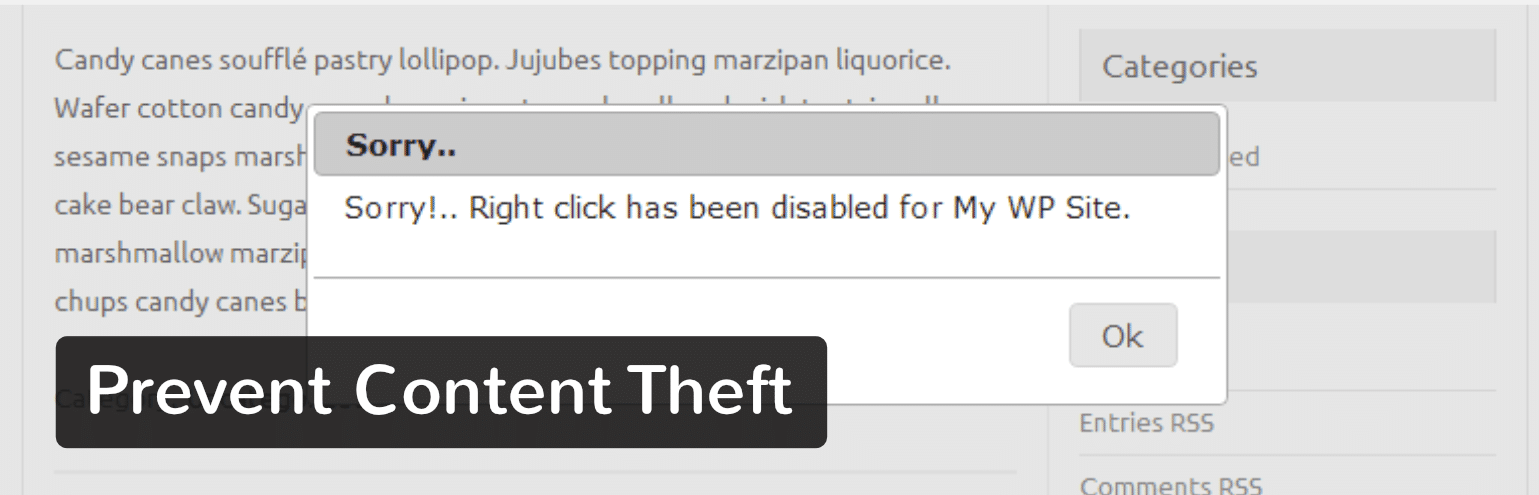 Prevent Content Theft WordPress-plugin