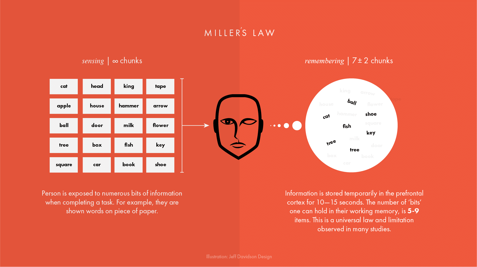 Miller's Law