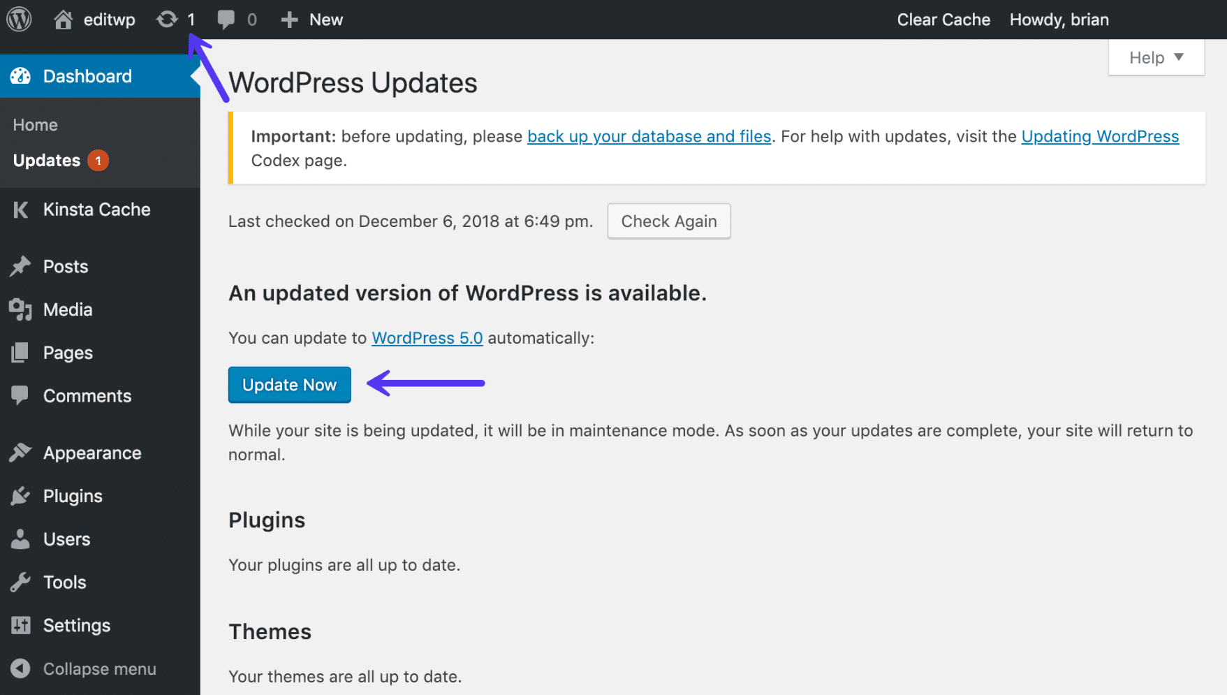 Uppdatering till WordPress 5.0