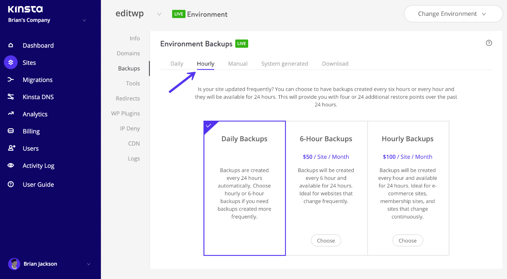 WordPress backup every hour