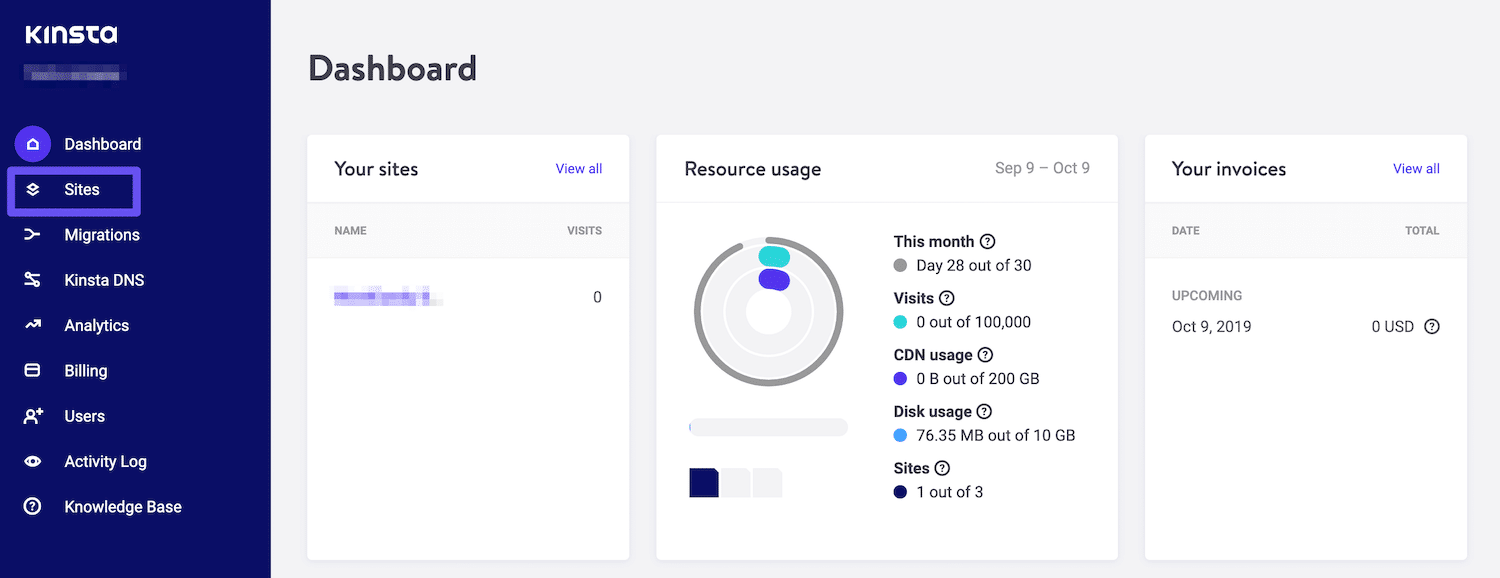 MyKinsta-panelen