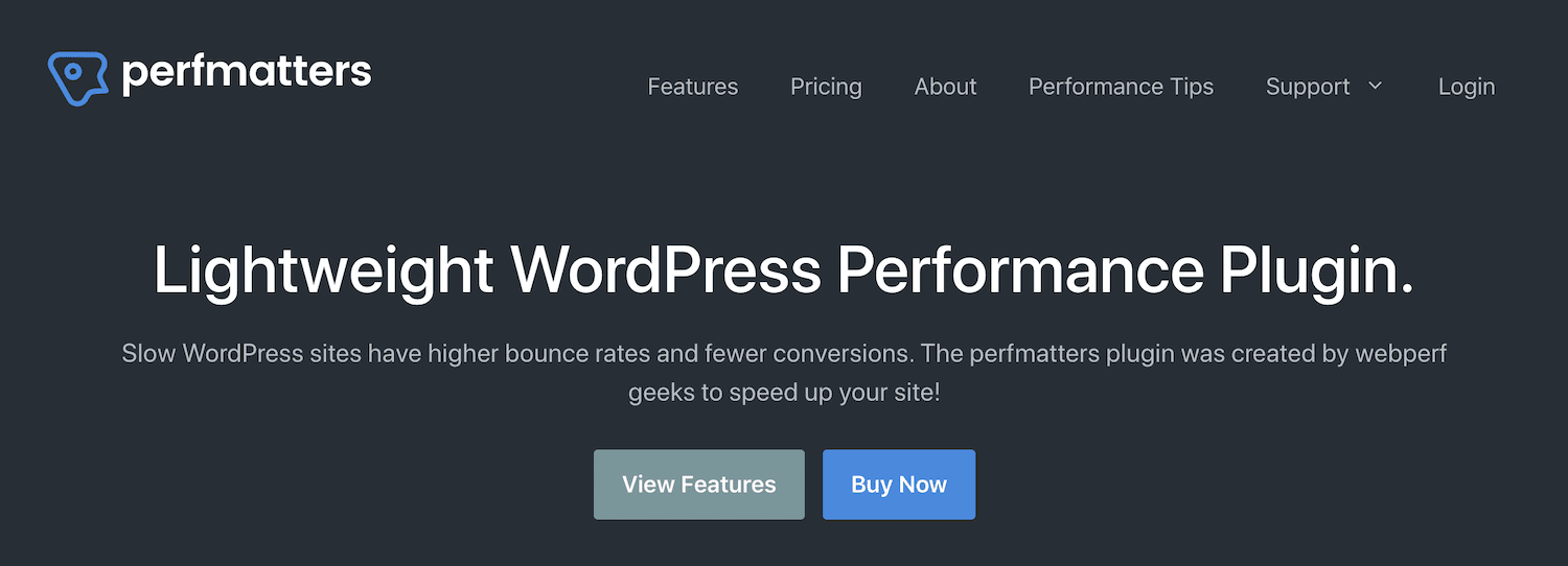 Perfmatters WordPress plugin
