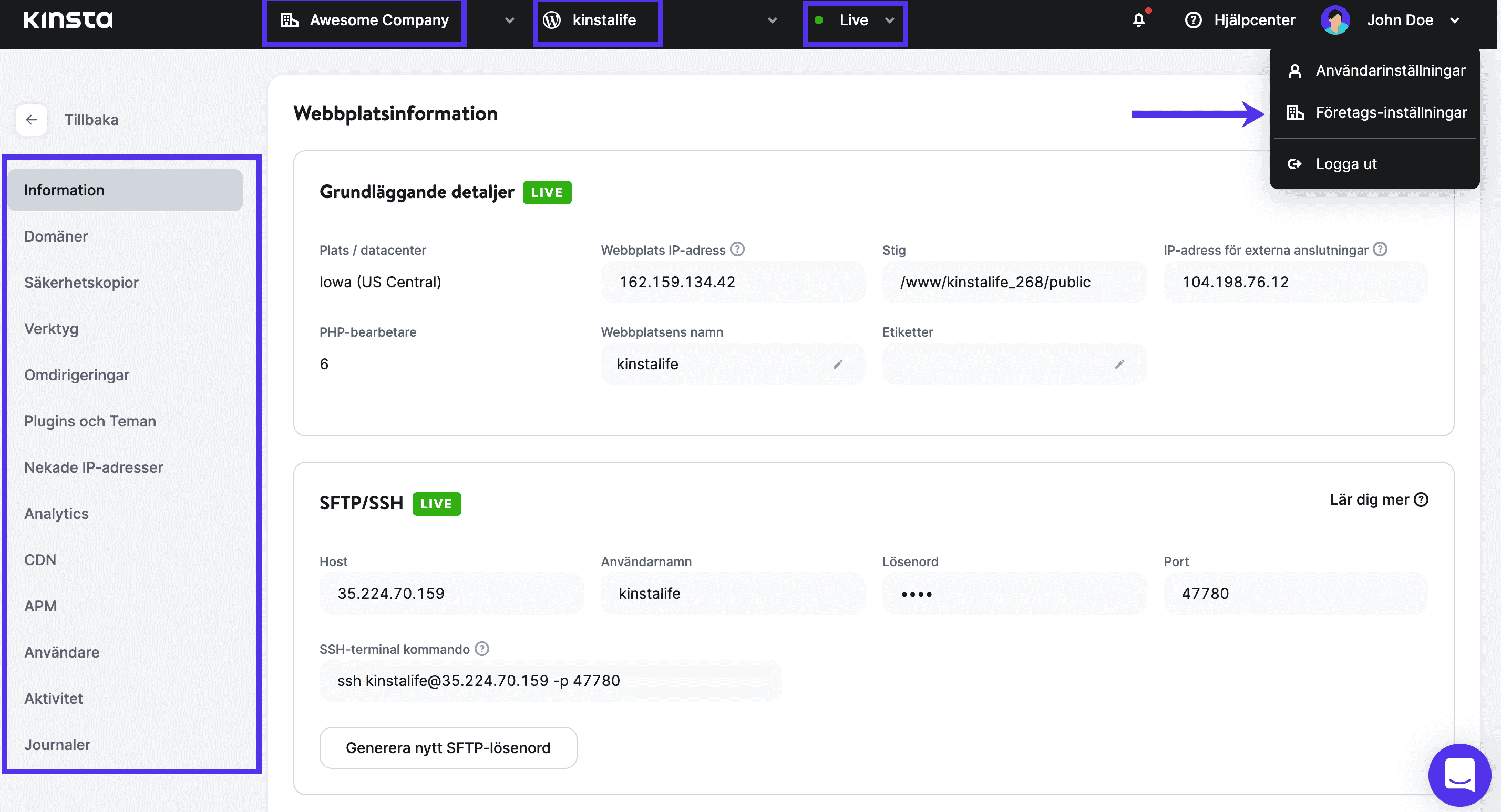 En vy på webbplatsnivå i den nya instrumentpanelen i MyKinsta.