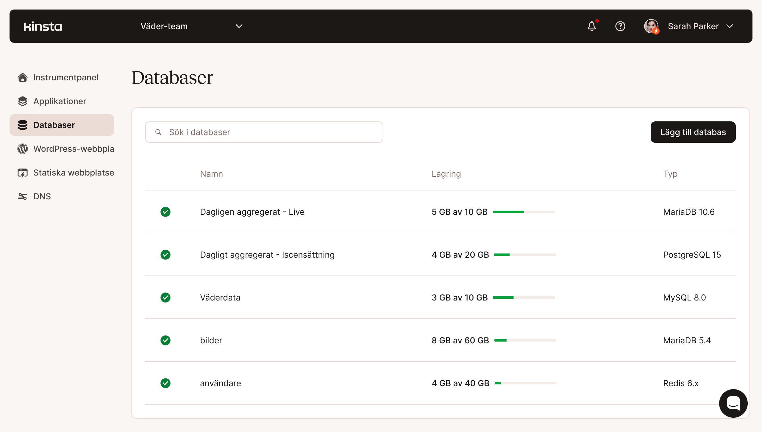 Skärmdump av MyKinsta databashanteringsfunktionalitet