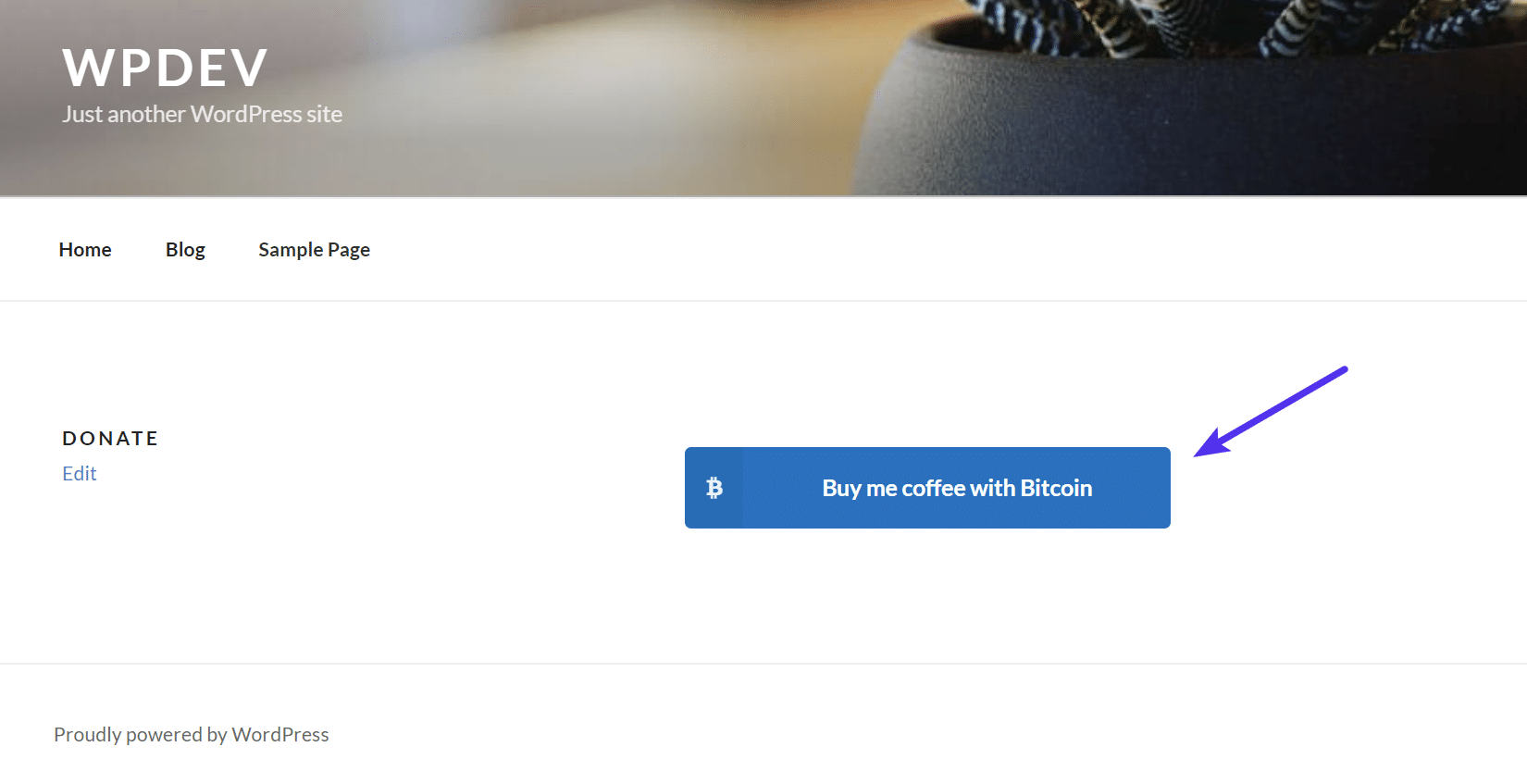 Bitcoin donation button and script download