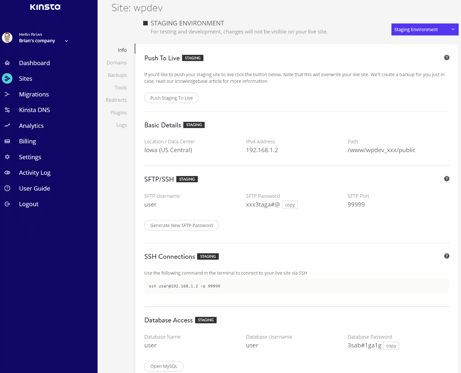 WordPress staging site