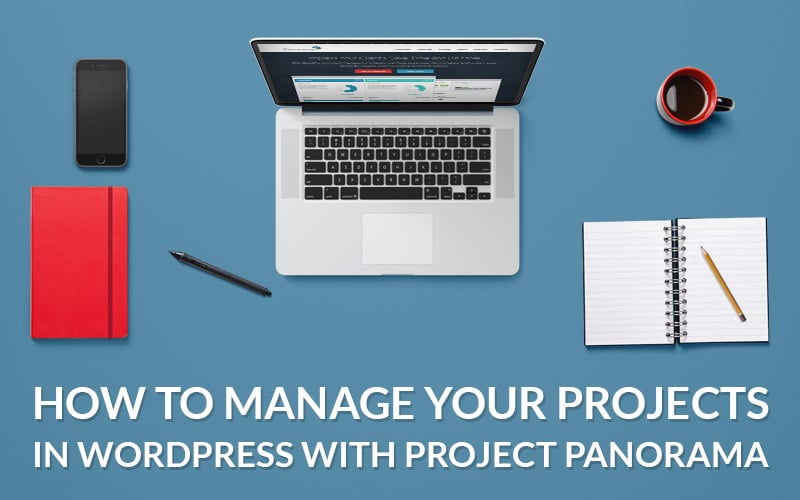 How to Manage Your Projects With Project Panorama WP Plugin