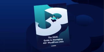 How to Manage 40+ Client Sites Successfully — Free Ebook Download