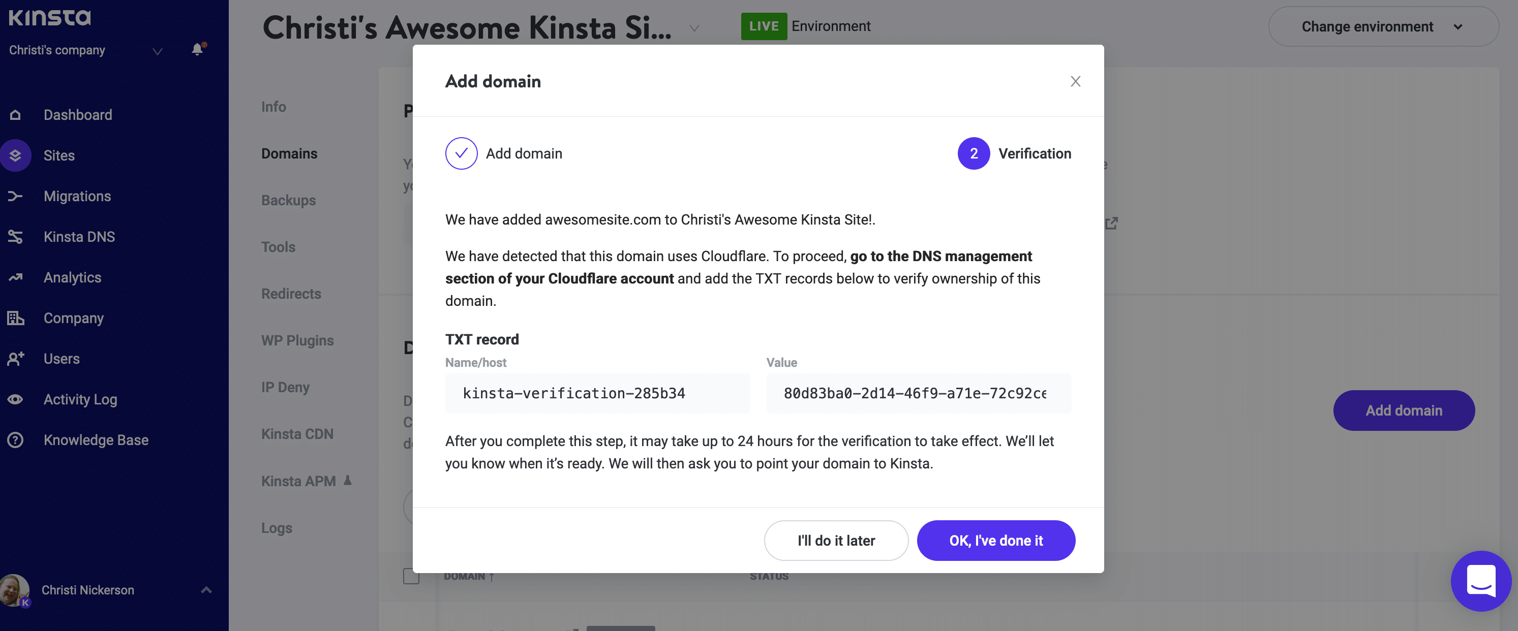 Enregistrement TXT dans MyKinsta pour vérifier le domaine Cloudflare.