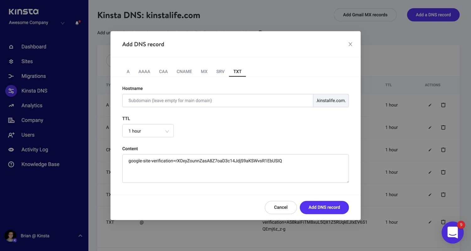 Adicionar um registro TXT no Kinsta DNS.