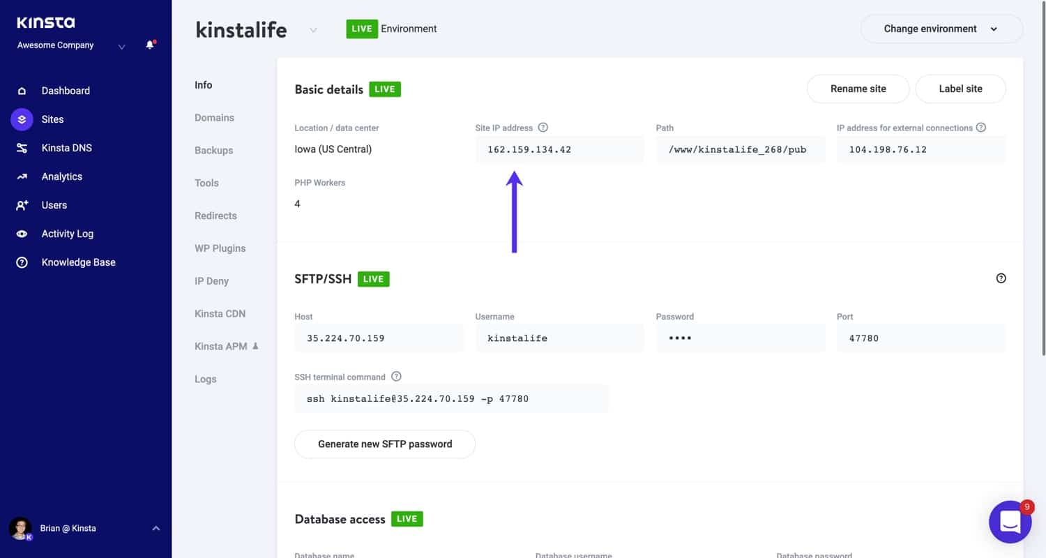 IP-adres van de site in MyKinsta.