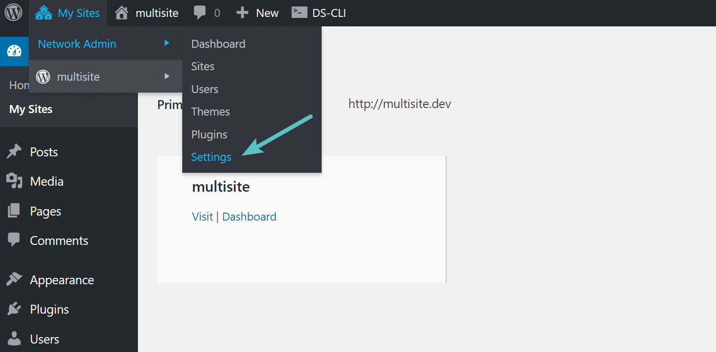 multisite network settings