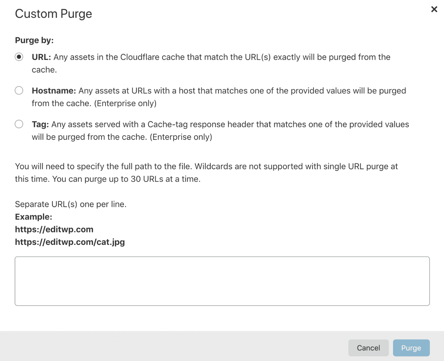 Custom purge file cache