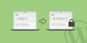 8 Ways to Fix SSL Connection Errors on Various Browsers and Platforms