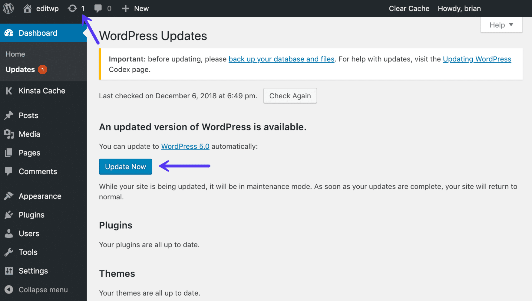 Update WordPress core