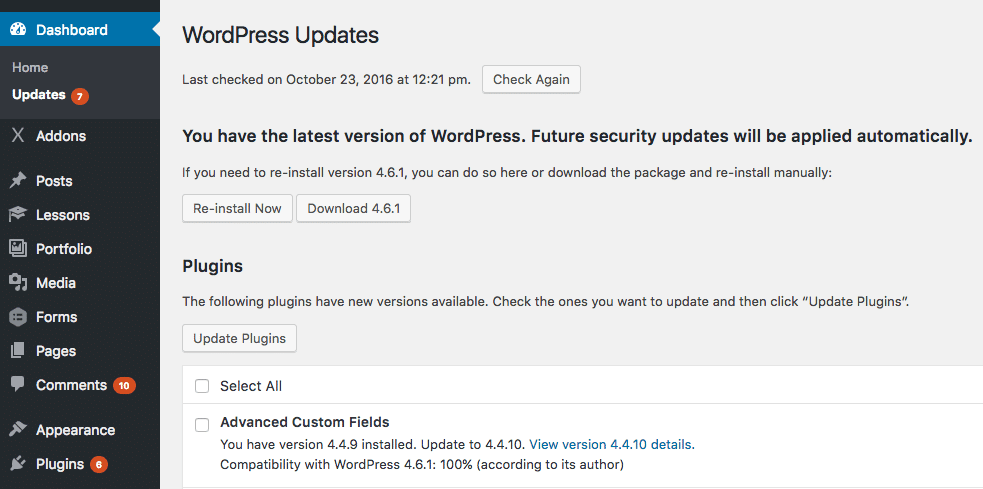 WordPress automatic updates