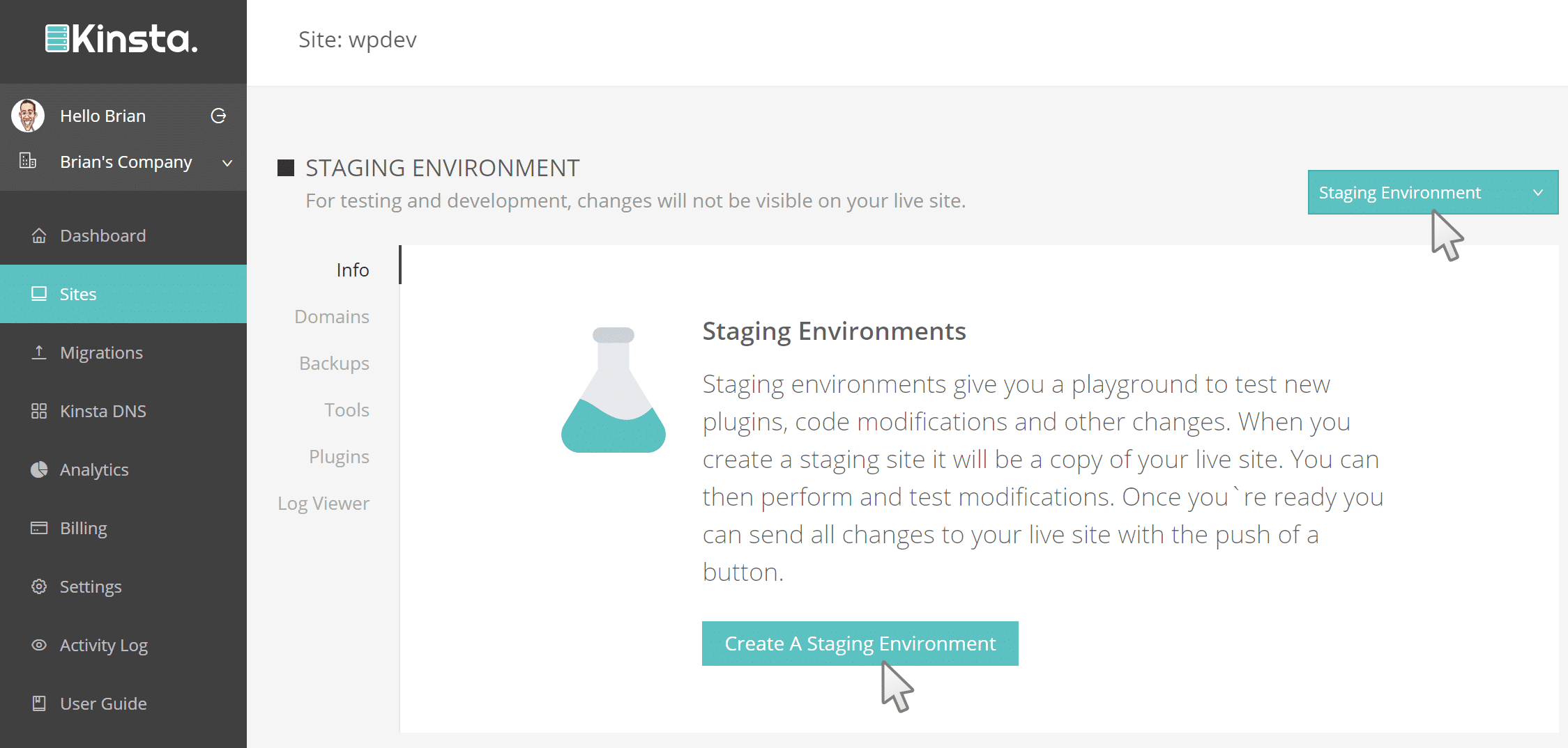 wordpress staging environment