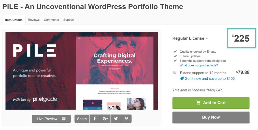 expensive wordpress theme