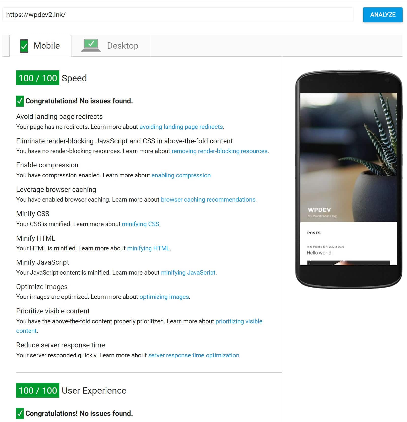 100/100 pagespeed insights mobile