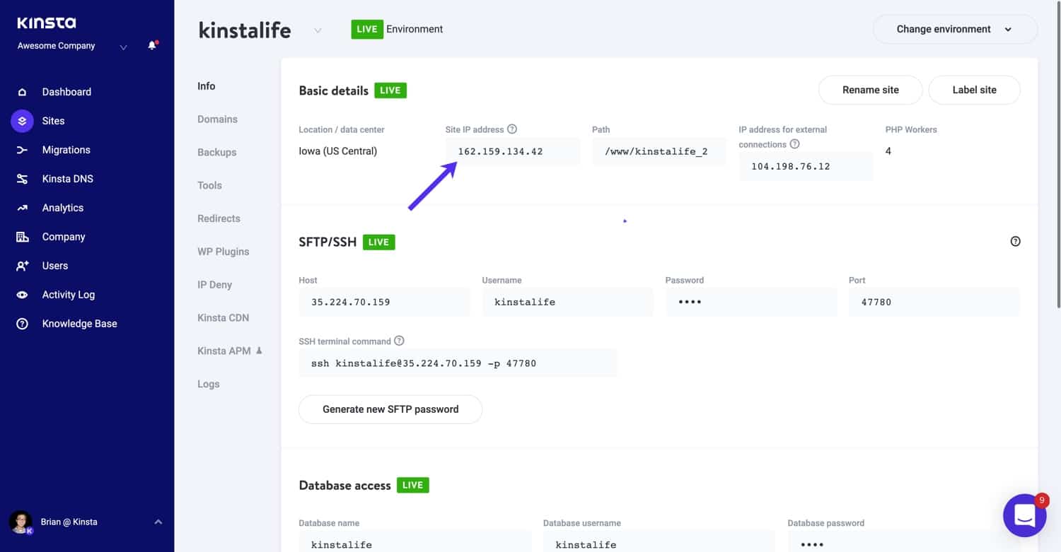 Site IP address in MyKinsta.