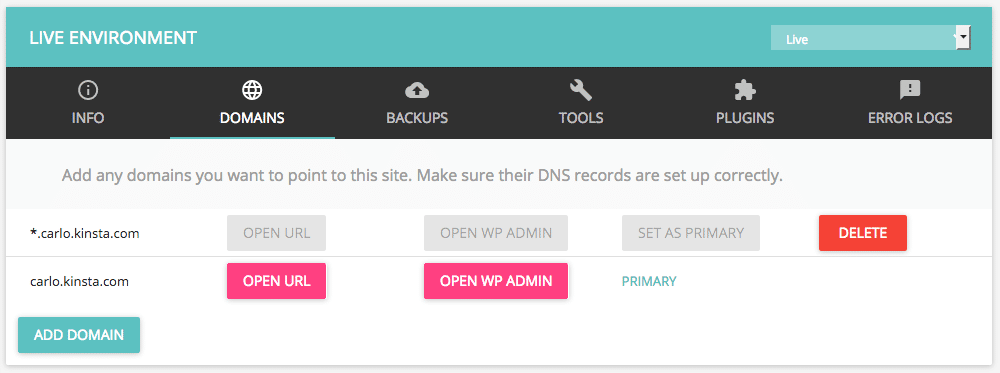 Kinsta domains tab