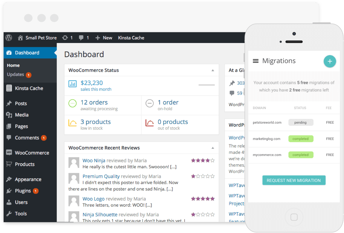 free wordpress migrations