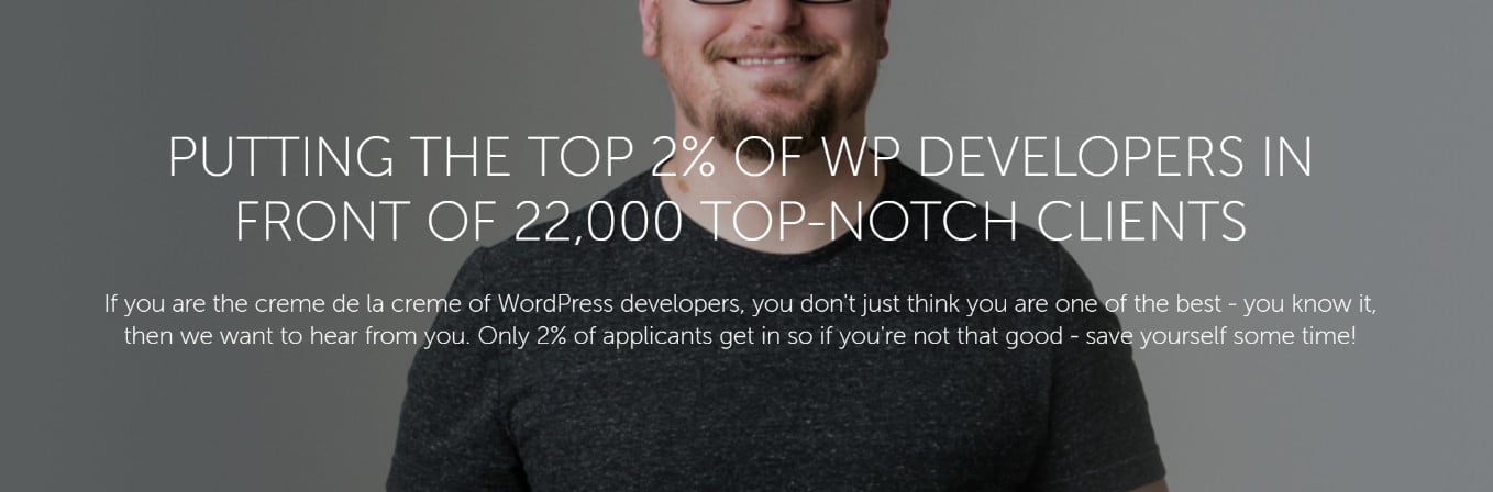 wordpress experts and developers