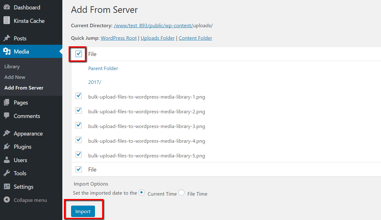 Selezionare i file in Add From Server