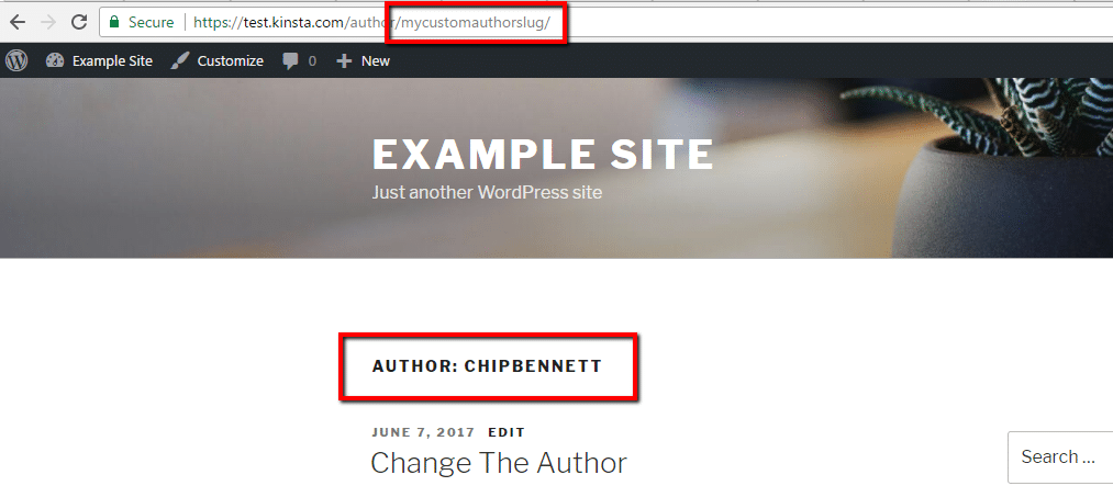 Custom author slug