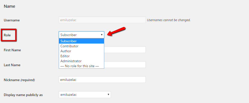 How to change WordPress user role