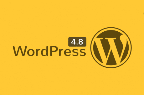 wordpress 4.8