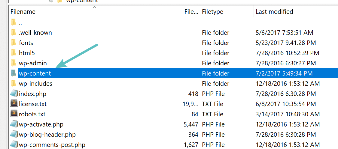 Download wp-content folder