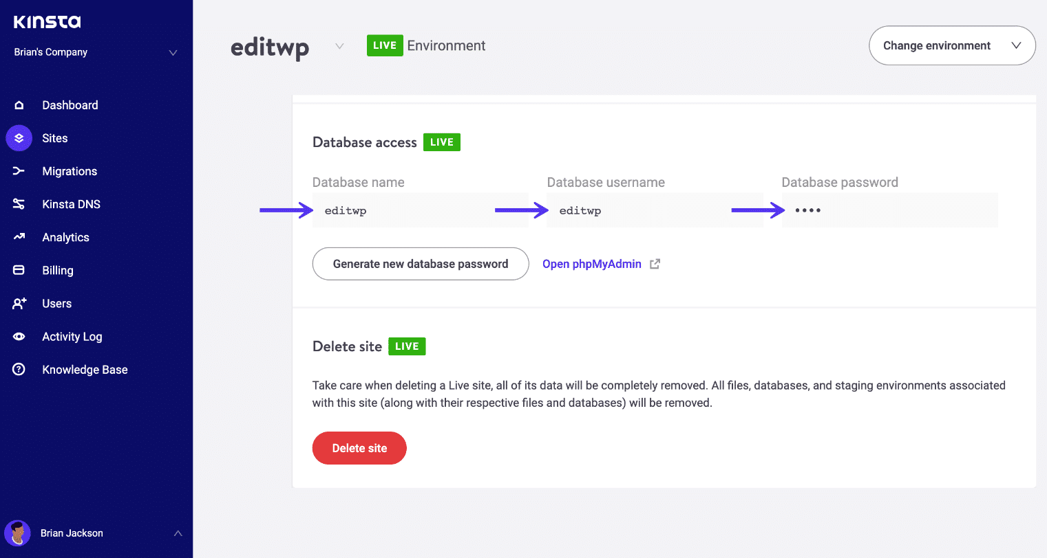 Kinsta database login credentials