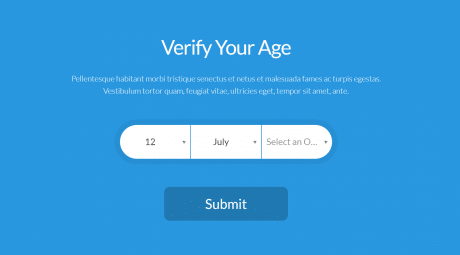 5 Best WordPress Age Verification Plugins for Your Website