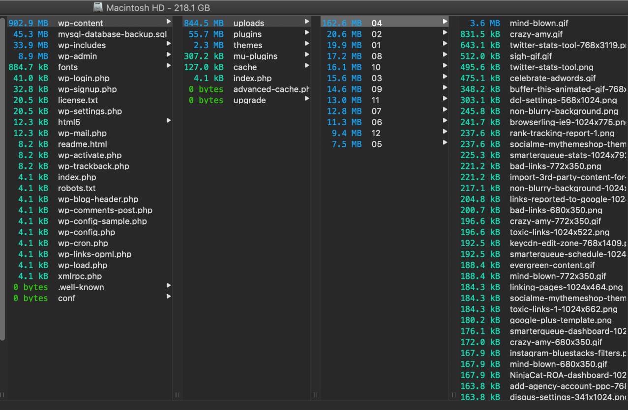 omnidisksweeper cant see some folders