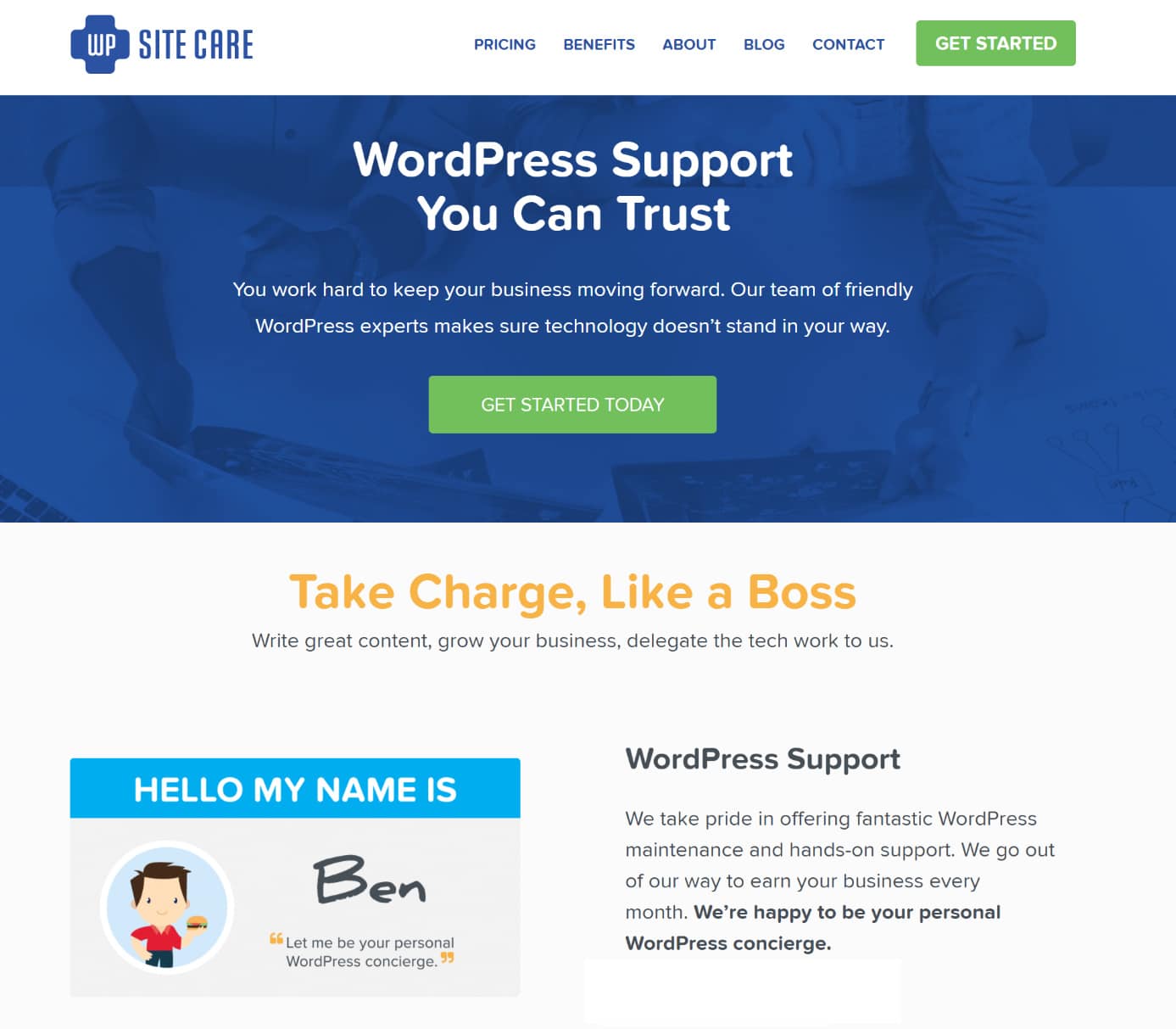 WP Site Care