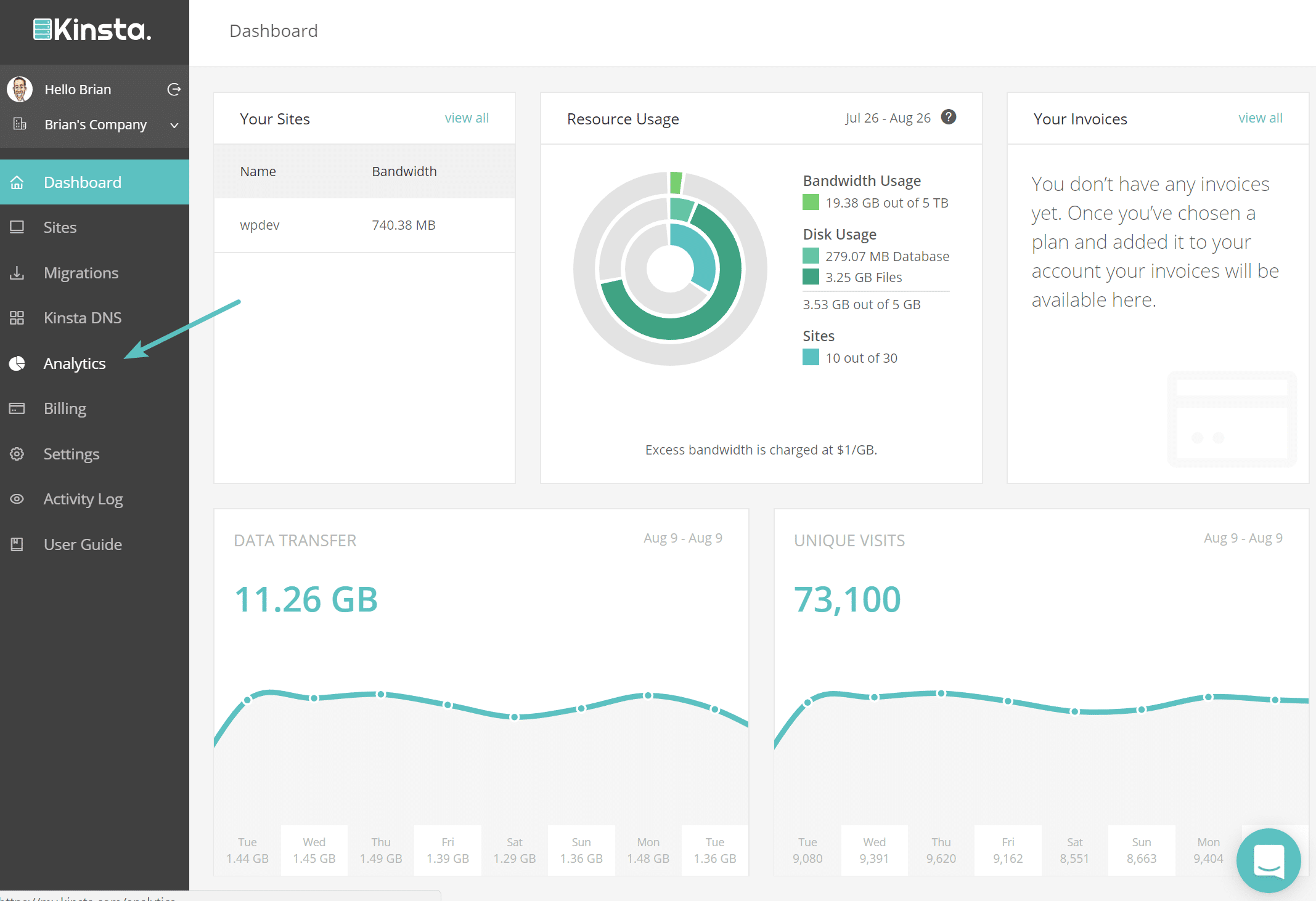 Access MyKinsta Analytics