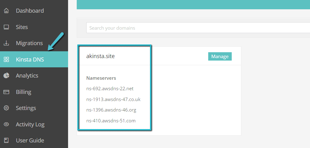 Where to find Kinsta nameservers