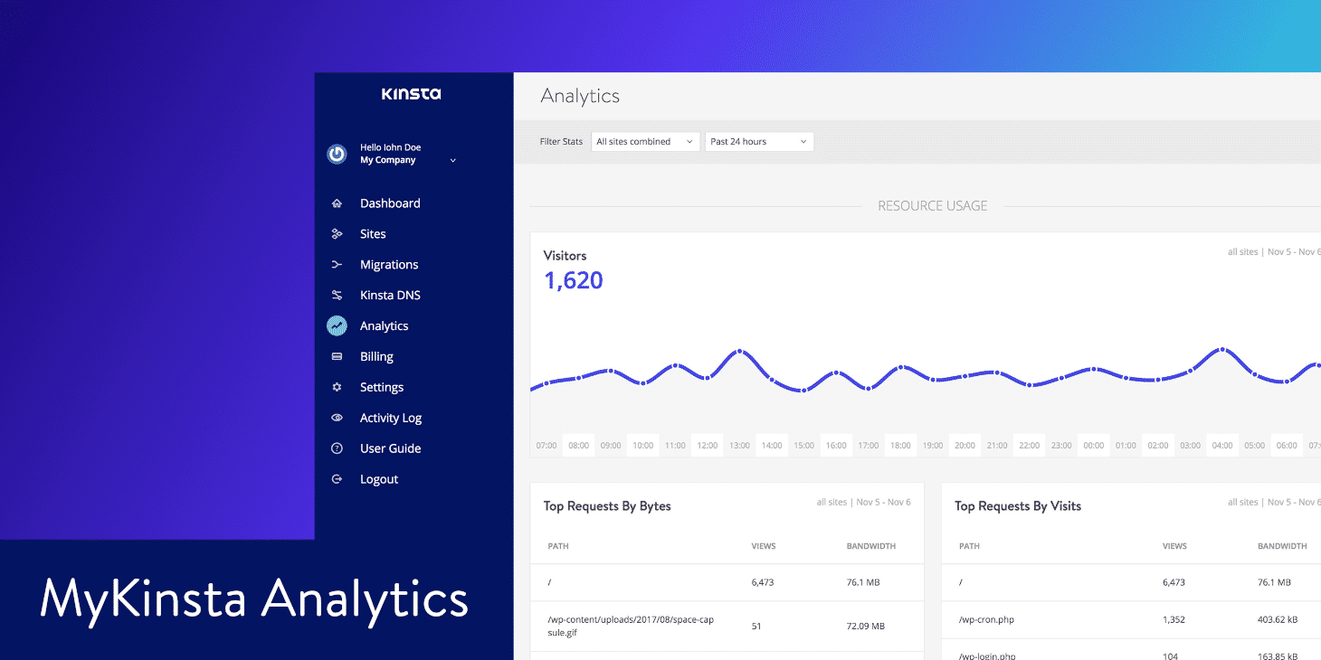 MyKinsta analytics