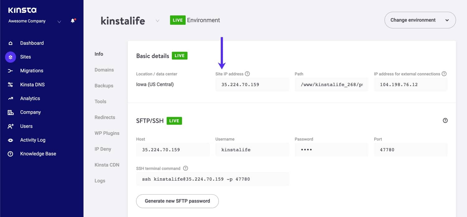 Kinsta Site IP Address (A record)