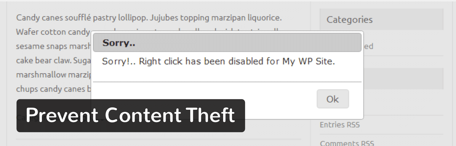 Il plugin WordPress Prevent Content Theft 