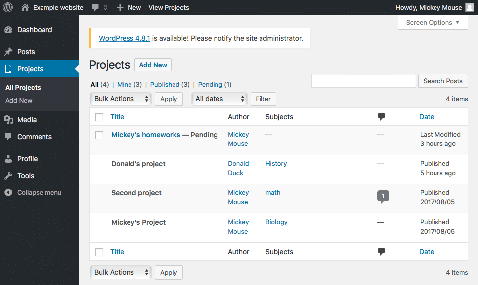 Projects screen
