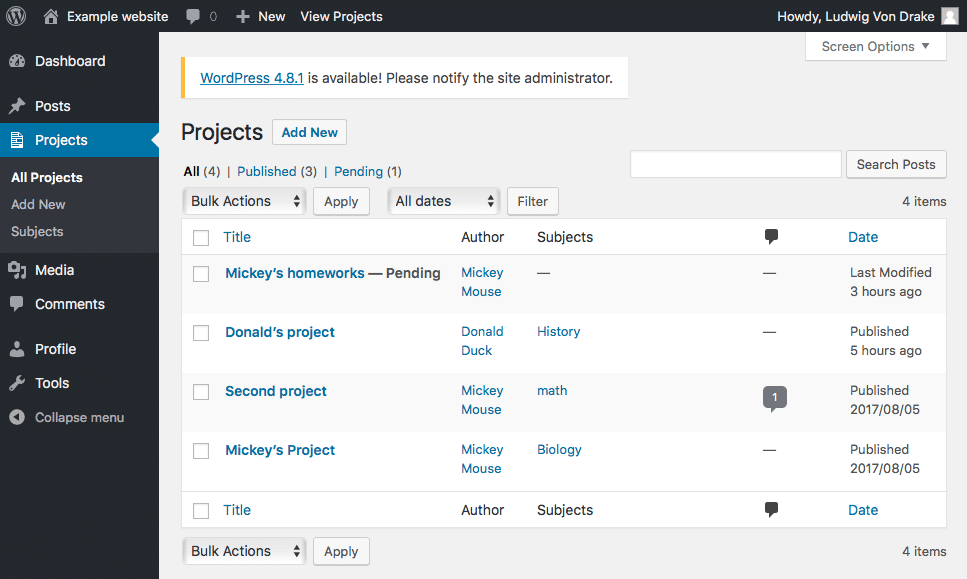 Projects screen