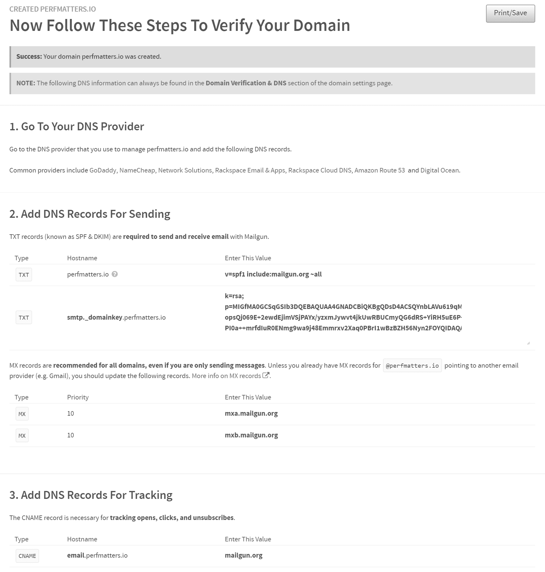 Verify domain DNS records