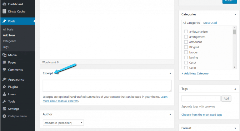 What Is a WordPress Excerpt? (Tips and Tricks)