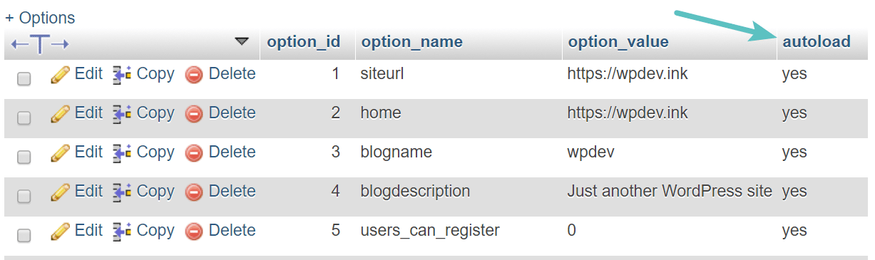 wp_options table autoload