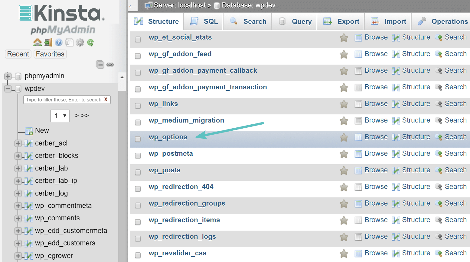 wp_options table