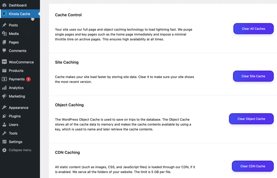 Screenshot of the MU plugin's Kinsta Cache options.