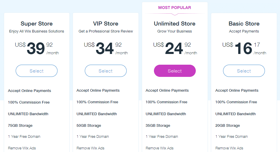Wix eCommerce website pricing