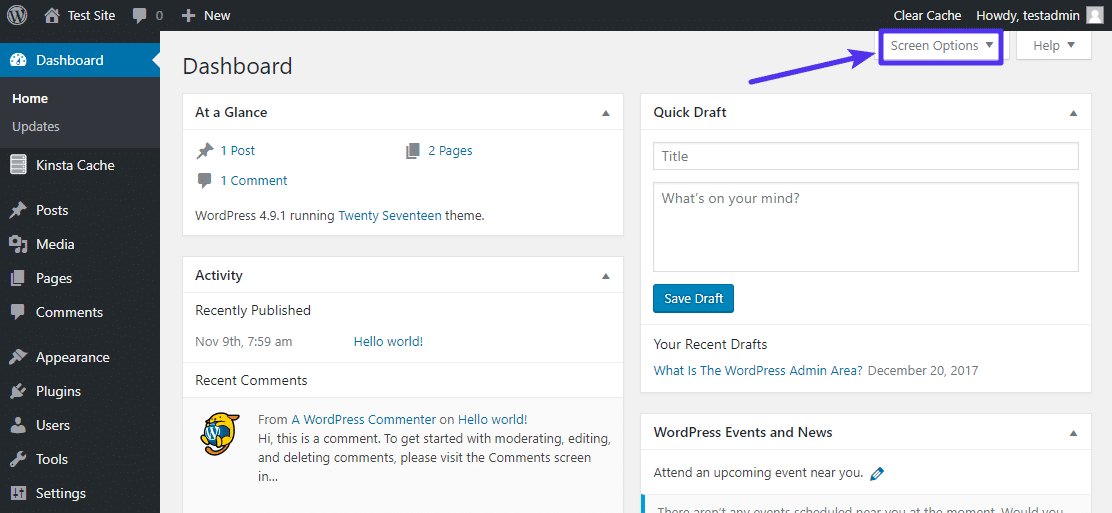 WordPress admin dashboard screen options